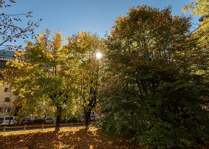 Apartment La Roseraie, Alpes Agency, Central Chamonix, Sleeps 2-3
