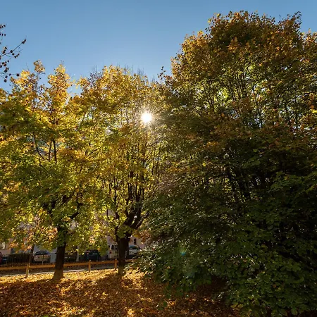 Apartment La Roseraie, Alpes Agency, Central Chamonix, Sleeps 2-3